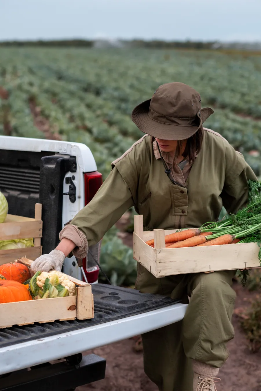 Fresh ingredients